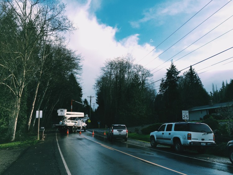 cars waiting inline while workers clear downed tree brownsville washington