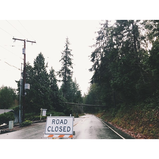 tree laying across the road blocking traffic