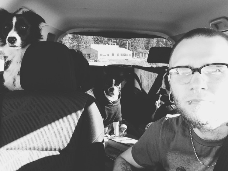 guy in car with dogs in backseat