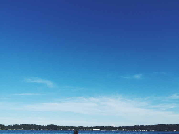 Washington ferry passing illahee state park